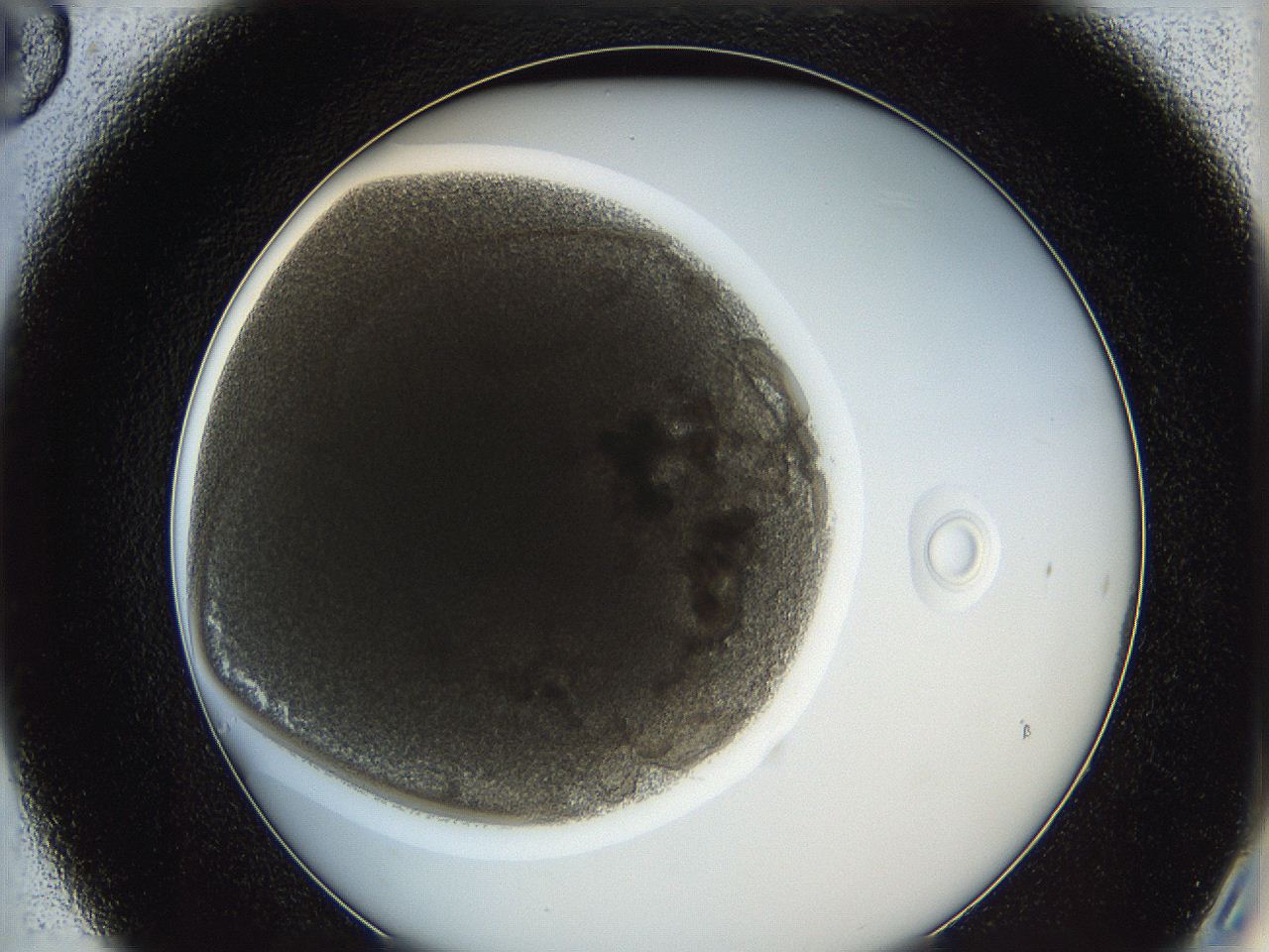0622_C6_ImagerDefaults_4.jpg