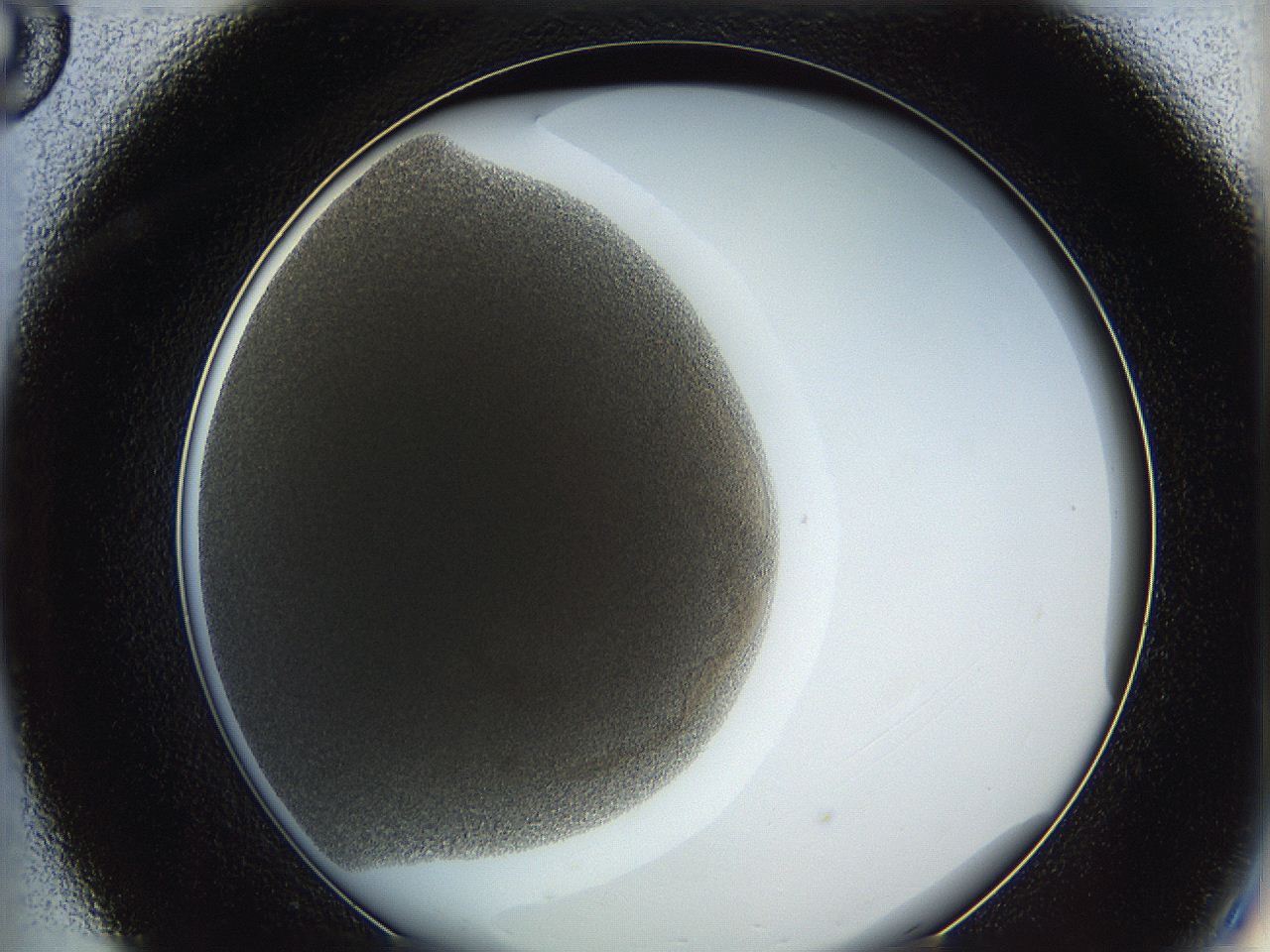 0622_C8_ImagerDefaults_4.jpg