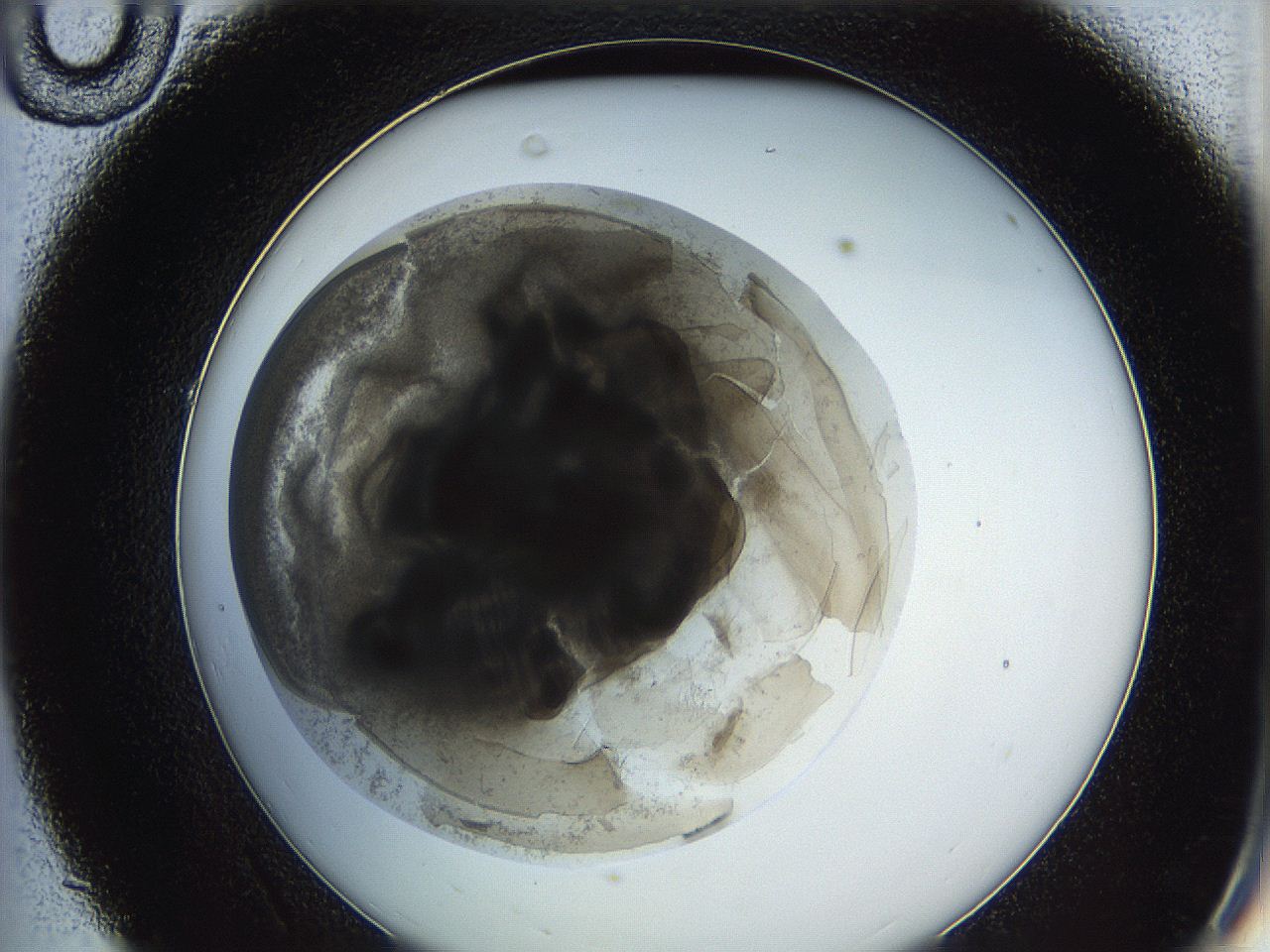 0622_C10_ImagerDefaults_3.jpg