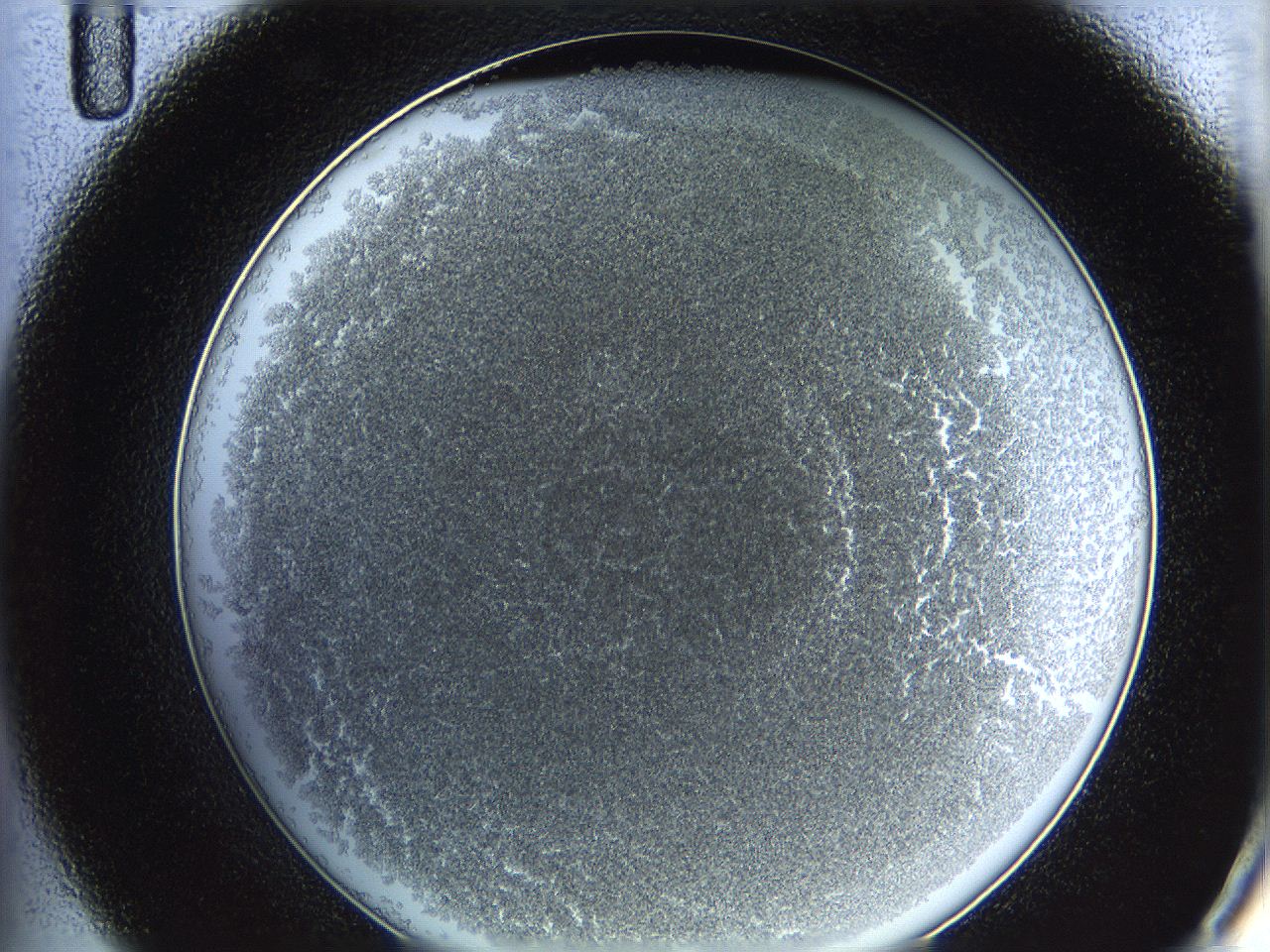 0622_C11_ImagerDefaults_4.jpg