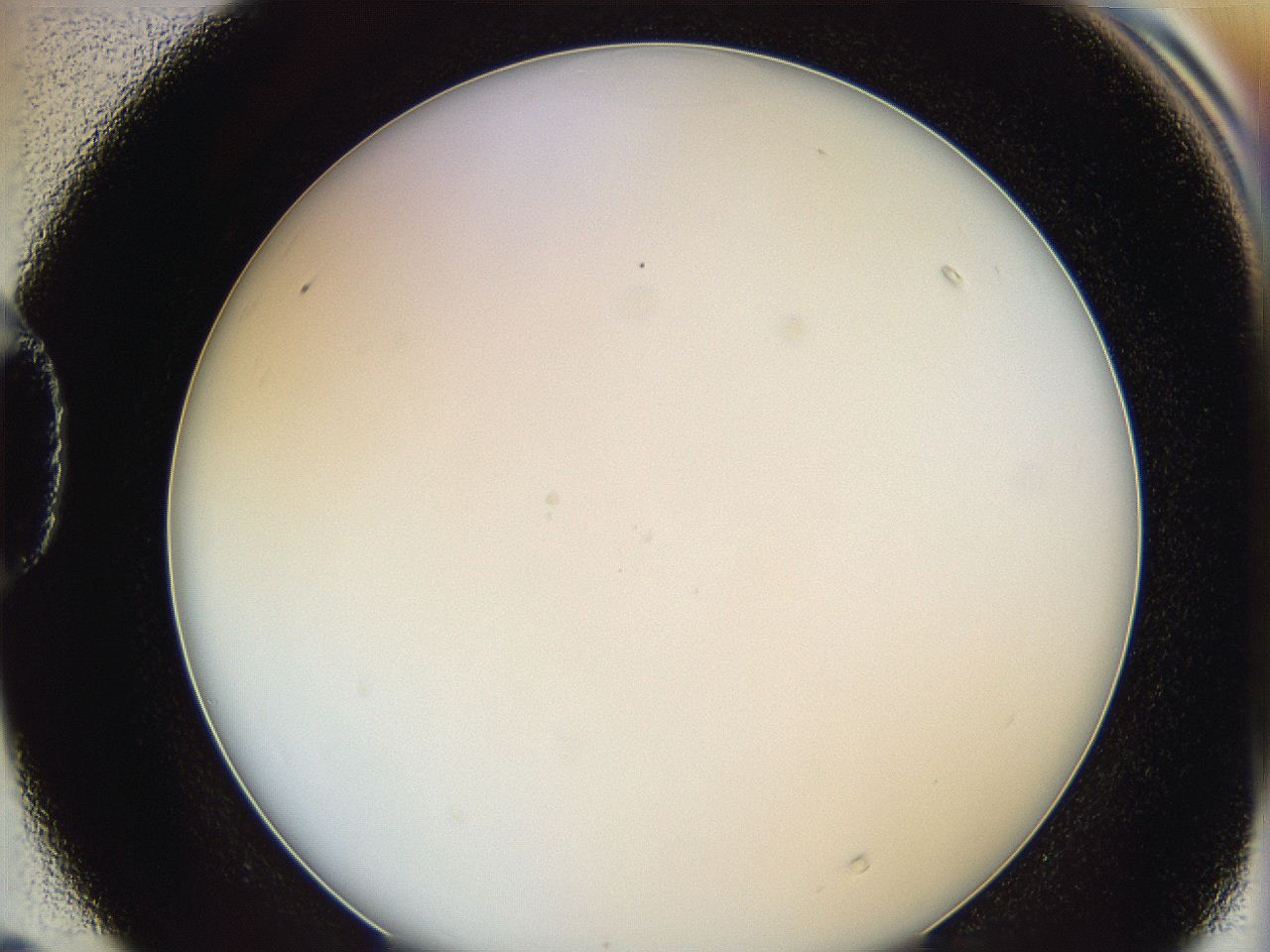 0622_D4_ImagerDefaults_0.jpg