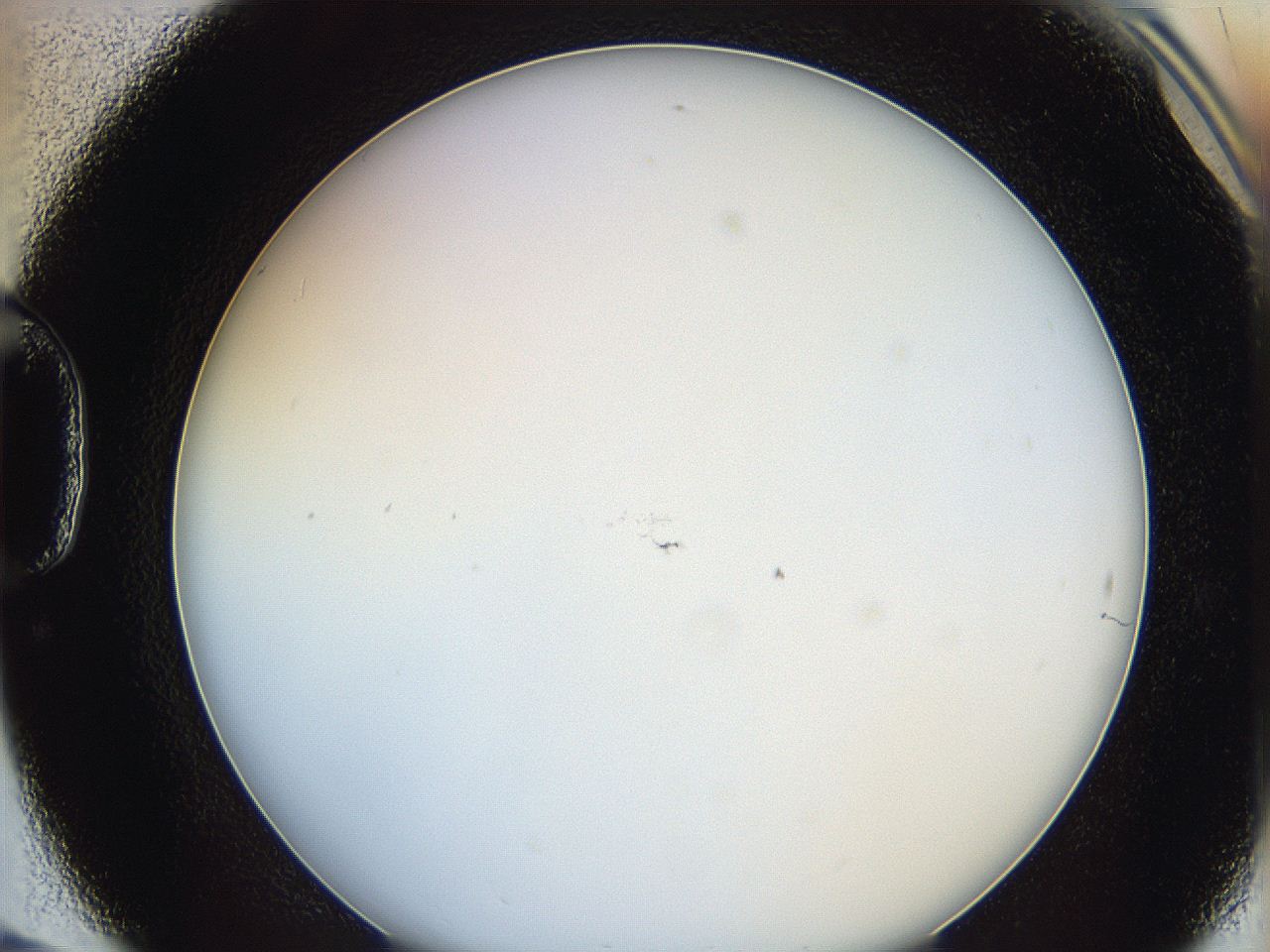 0622_D6_ImagerDefaults_0.jpg