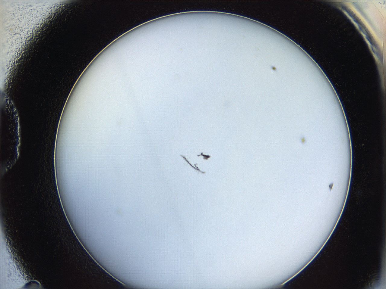 0622_D11_ImagerDefaults_1.jpg