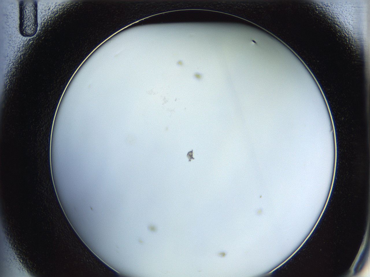 0622_D11_ImagerDefaults_0.jpg