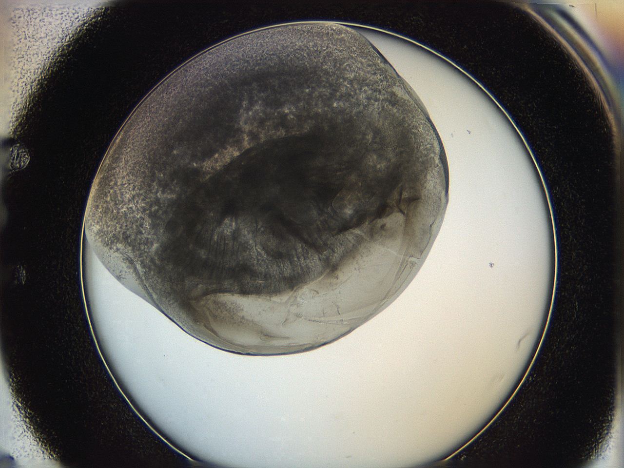 0622_E4_ImagerDefaults_3.jpg
