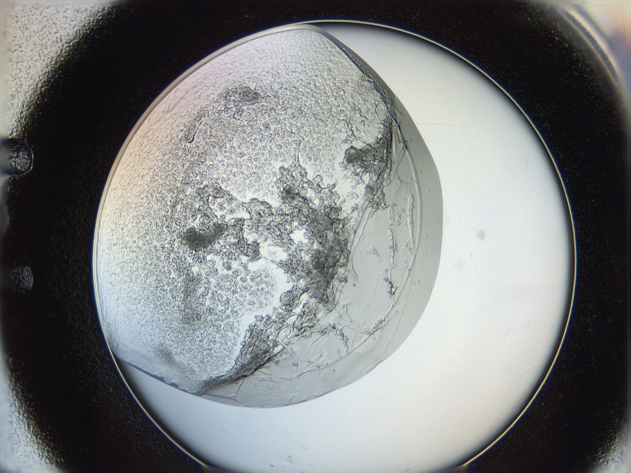 0622_E9_ImagerDefaults_4.jpg