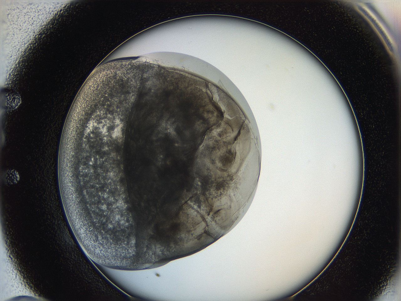 0622_E10_ImagerDefaults_3.jpg