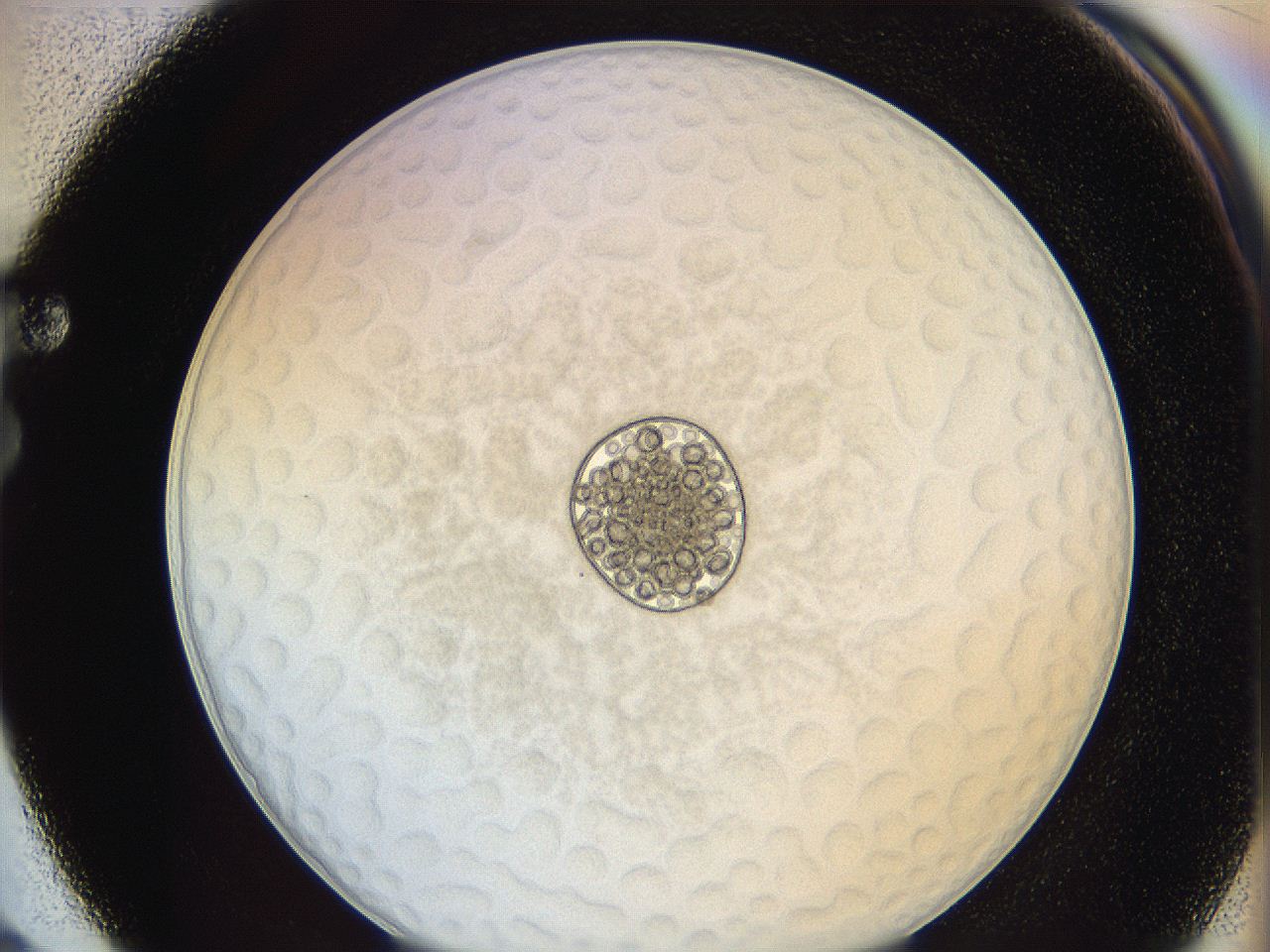 0622_F3_ImagerDefaults_5.jpg