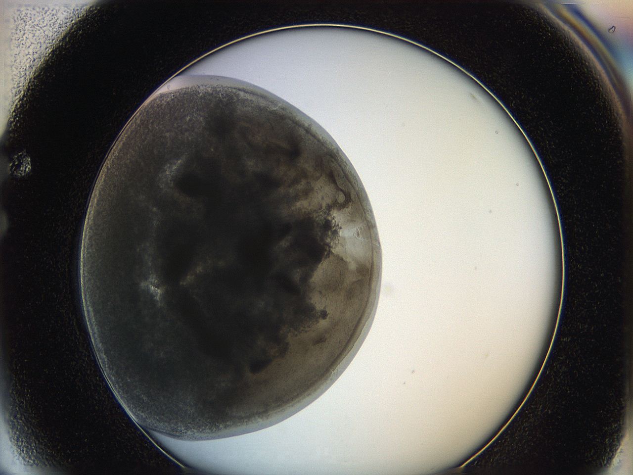 0622_F4_ImagerDefaults_3.jpg