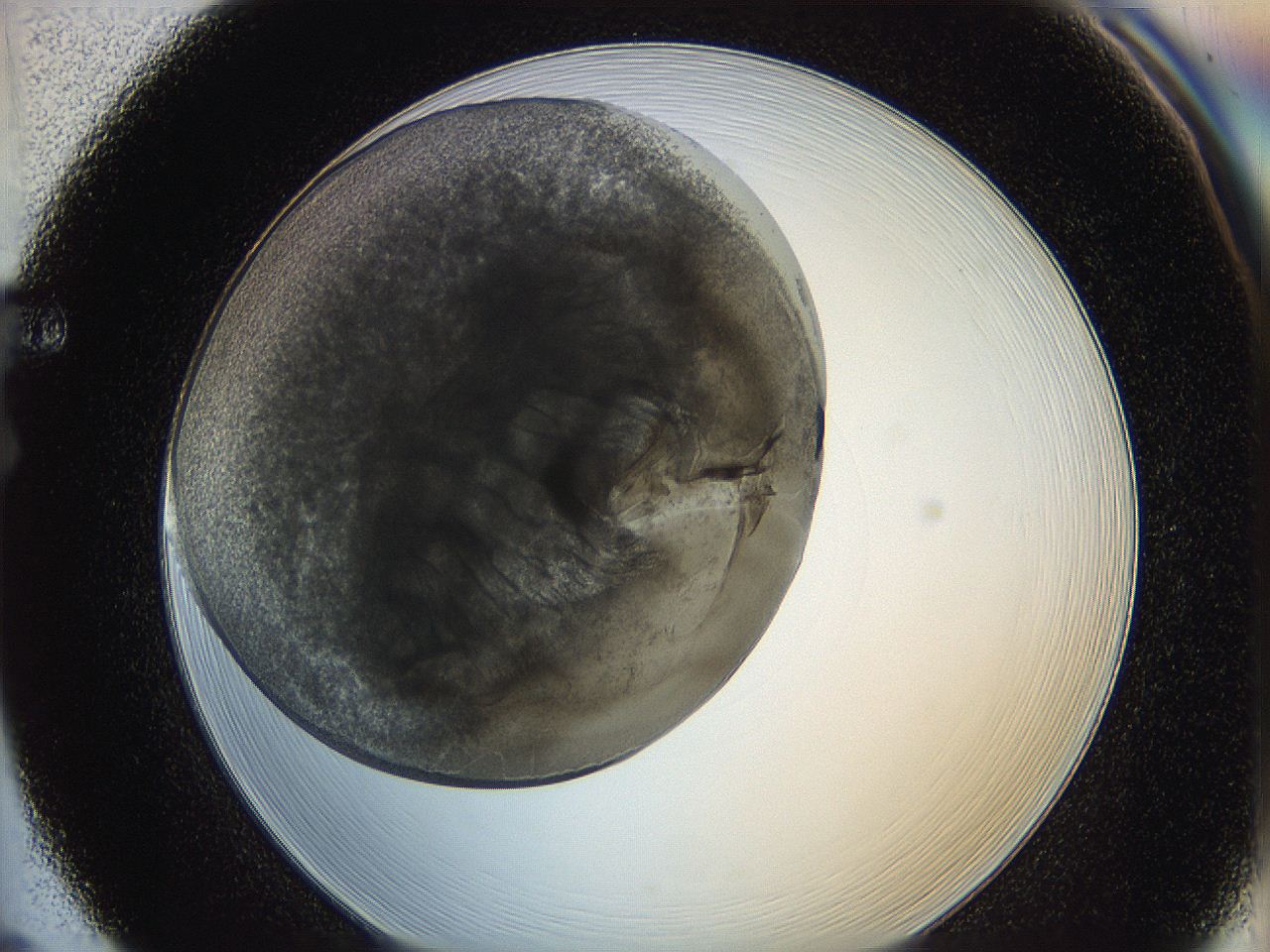 0622_F5_ImagerDefaults_3.jpg