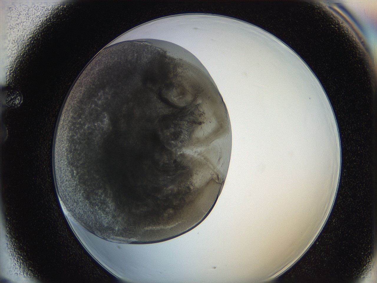 0622_F6_ImagerDefaults_3.jpg