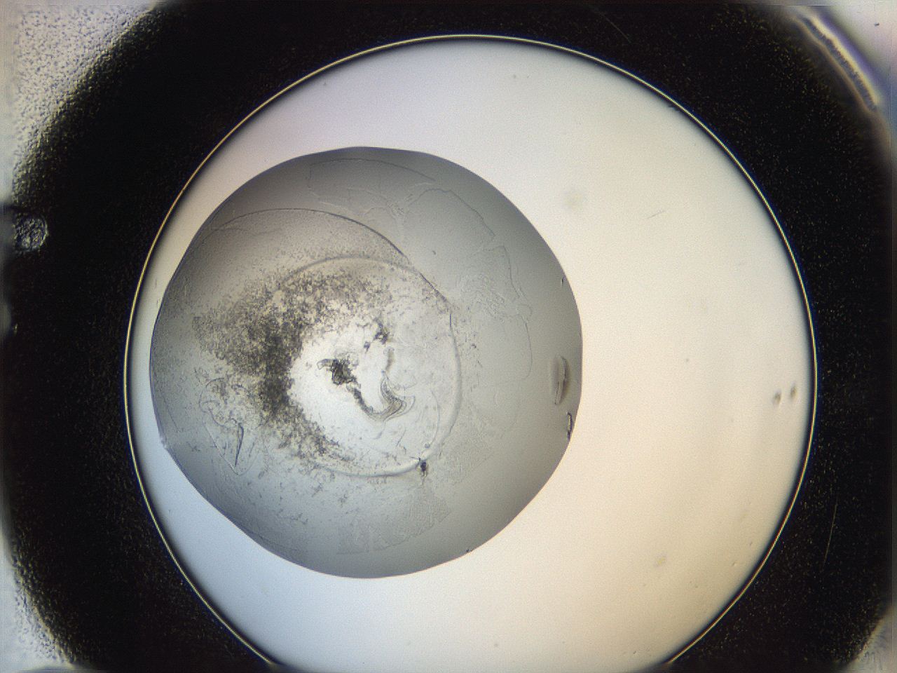 0622_F10_ImagerDefaults_4.jpg
