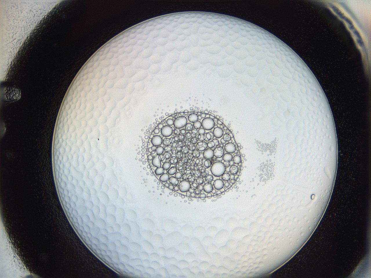 0622_F11_ImagerDefaults_5.jpg