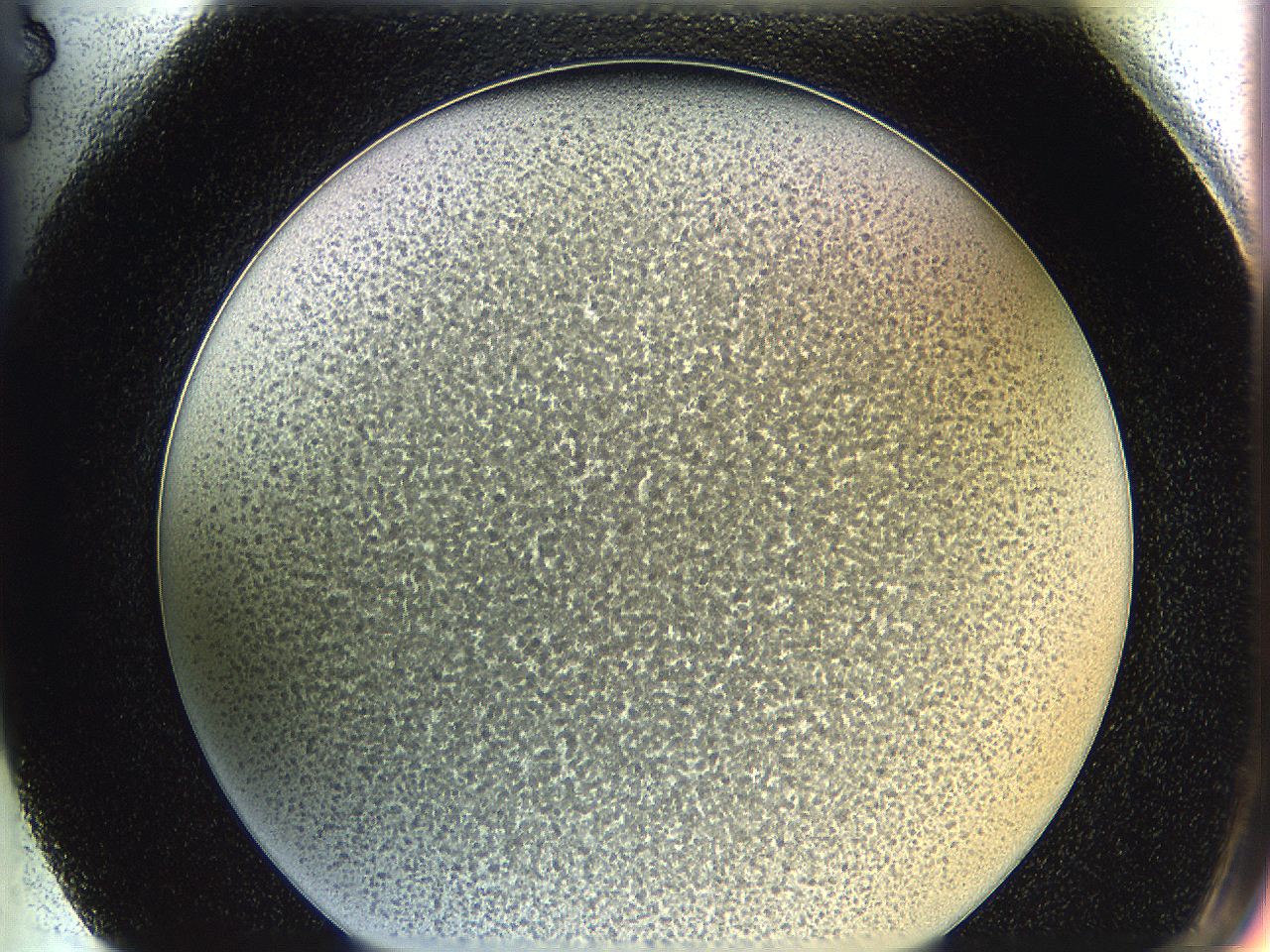 0622_G4_ImagerDefaults_4.jpg
