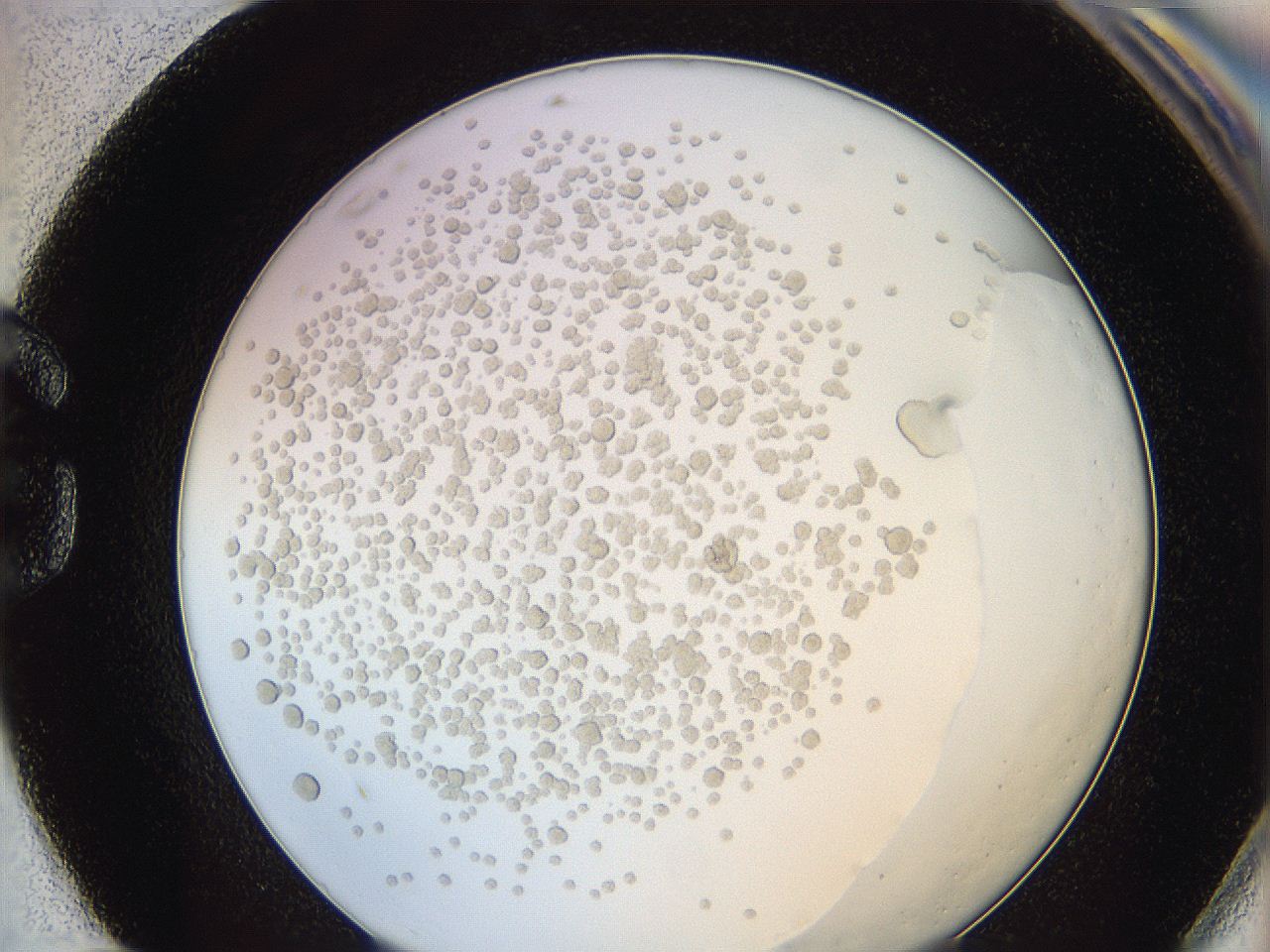 0622_G11_ImagerDefaults_6.jpg