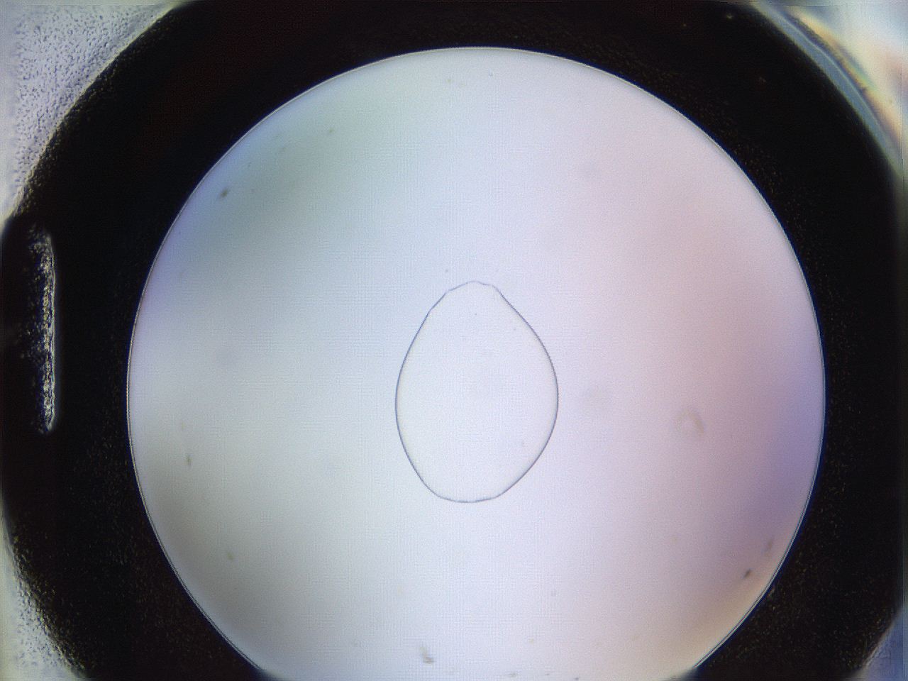 0622_H8_ImagerDefaults_5.jpg