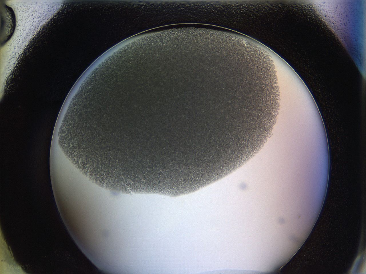 0622_H8_ImagerDefaults_4.jpg