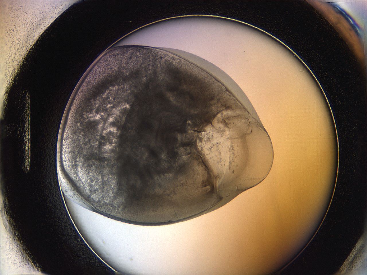 0622_H12_ImagerDefaults_3.jpg