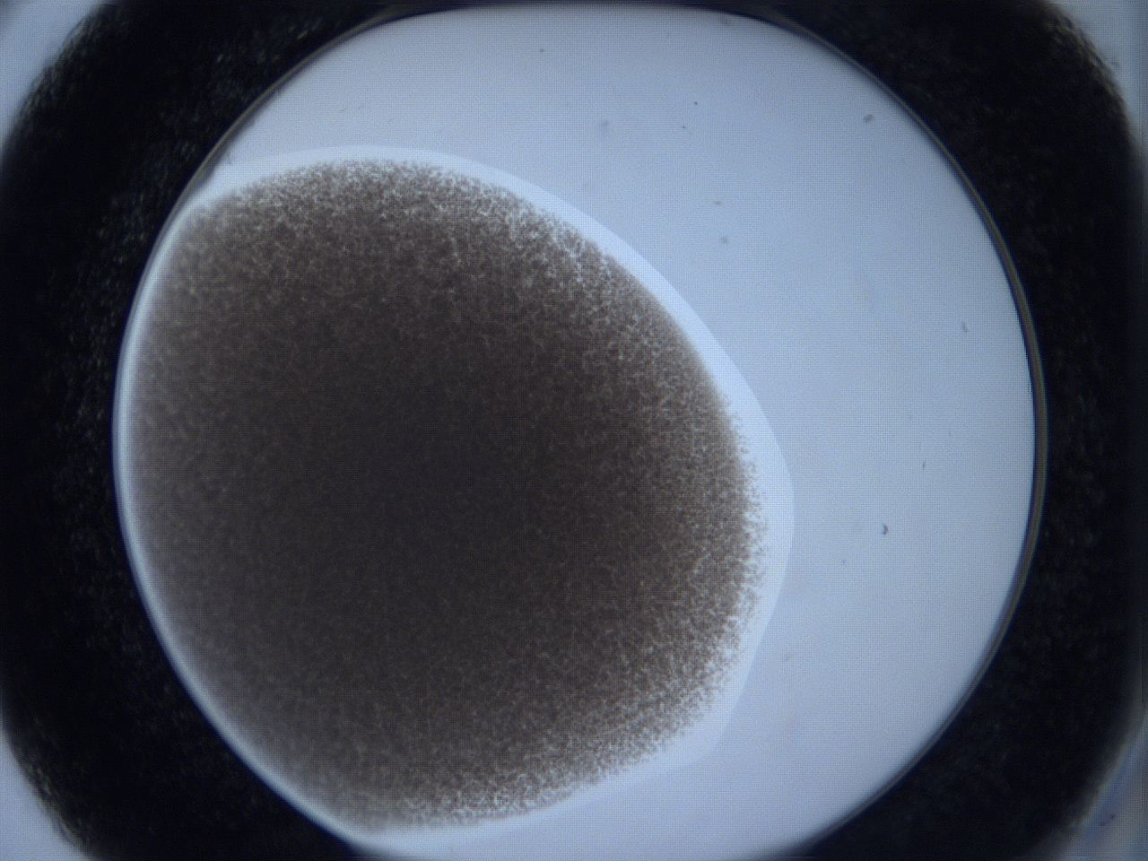 0623_A5_ImagerDefaults_4.jpg