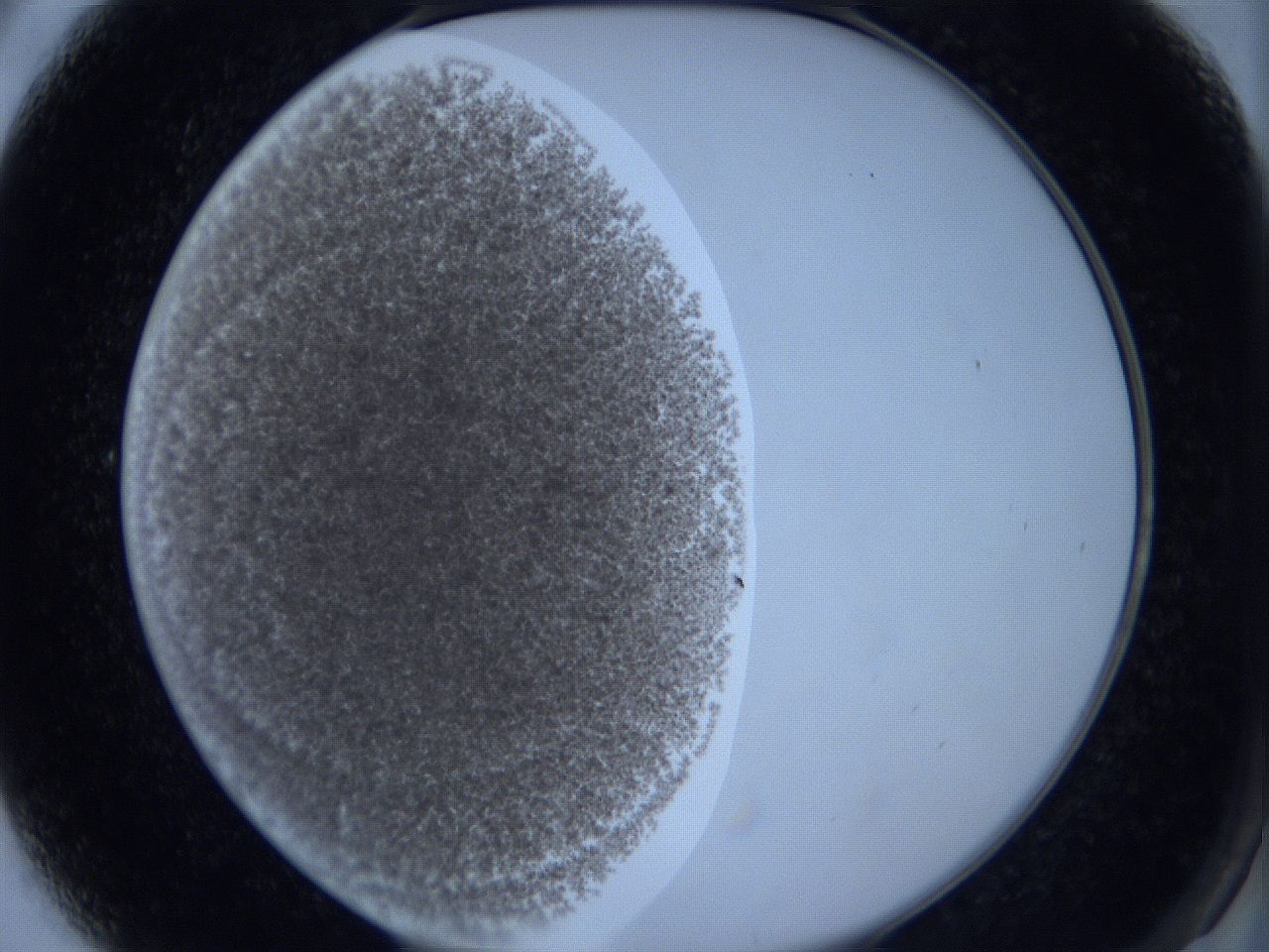 0623_A6_ImagerDefaults_2.jpg