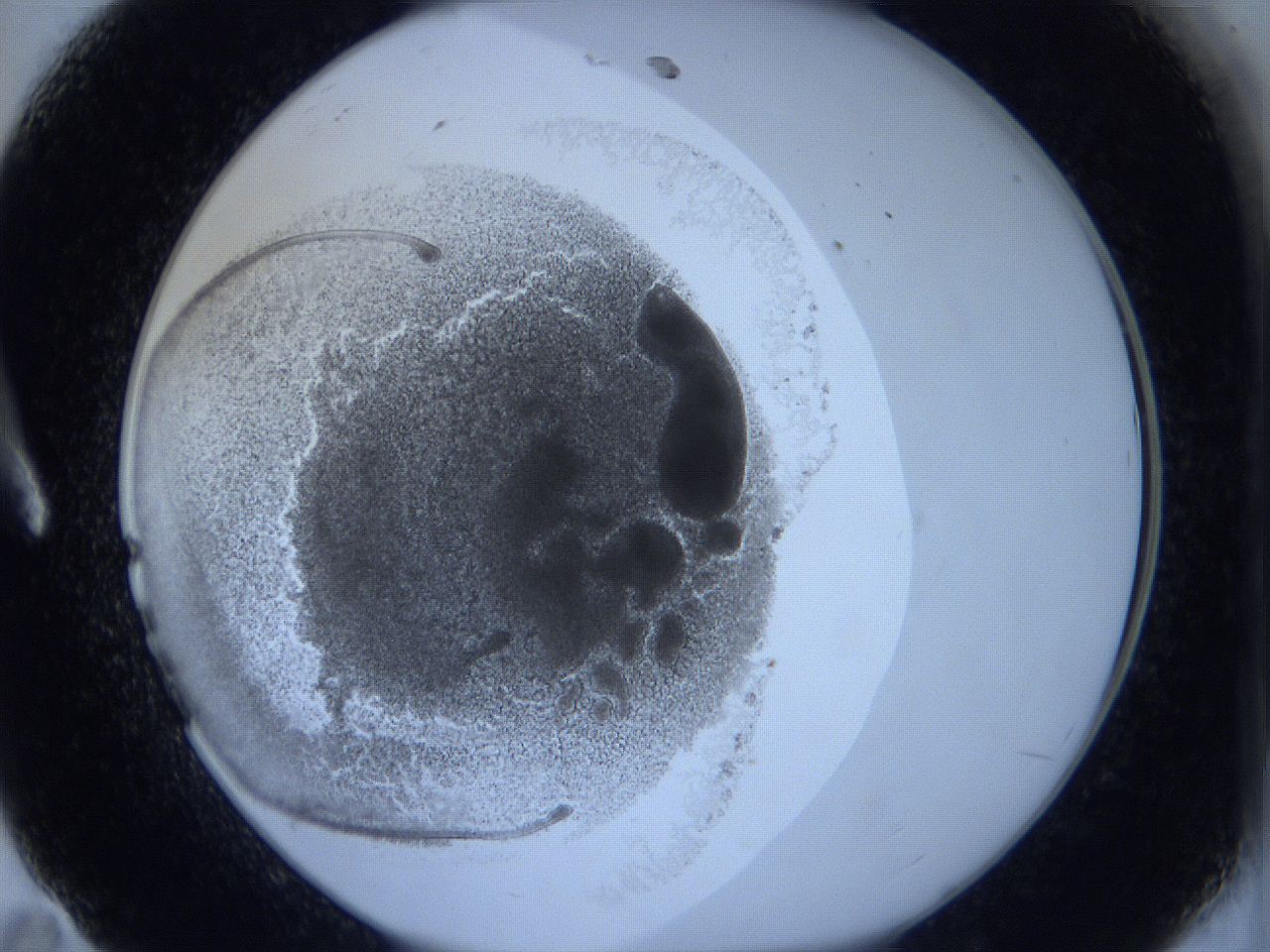 0623_A11_ImagerDefaults_3.jpg