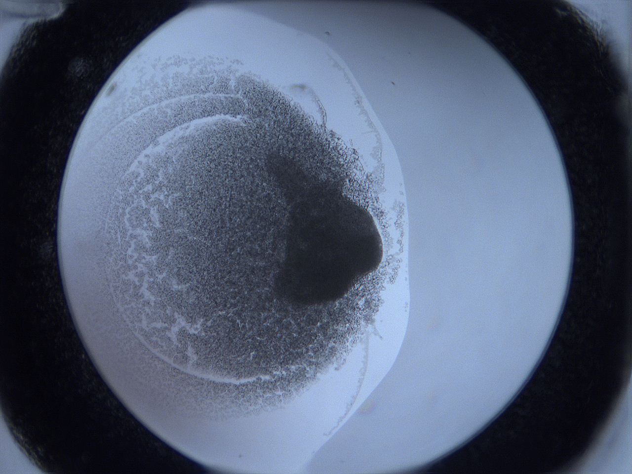 0623_A12_ImagerDefaults_3.jpg
