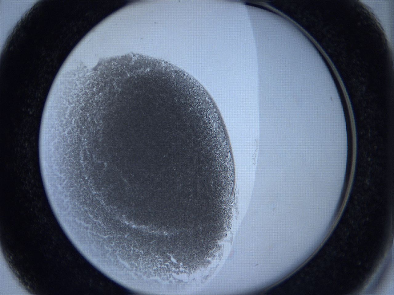 0623_B4_ImagerDefaults_3.jpg