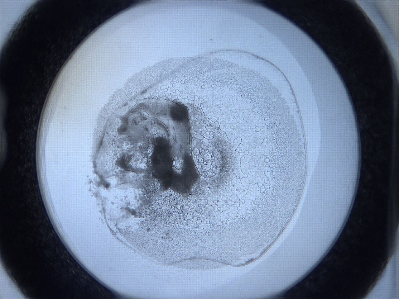 0623_B8_ImagerDefaults_5.jpg