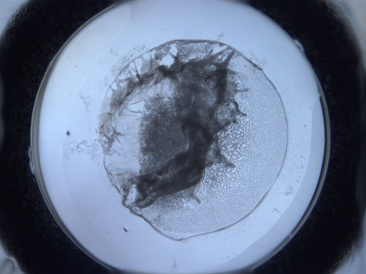 0623_B11_ImagerDefaults_5.jpg