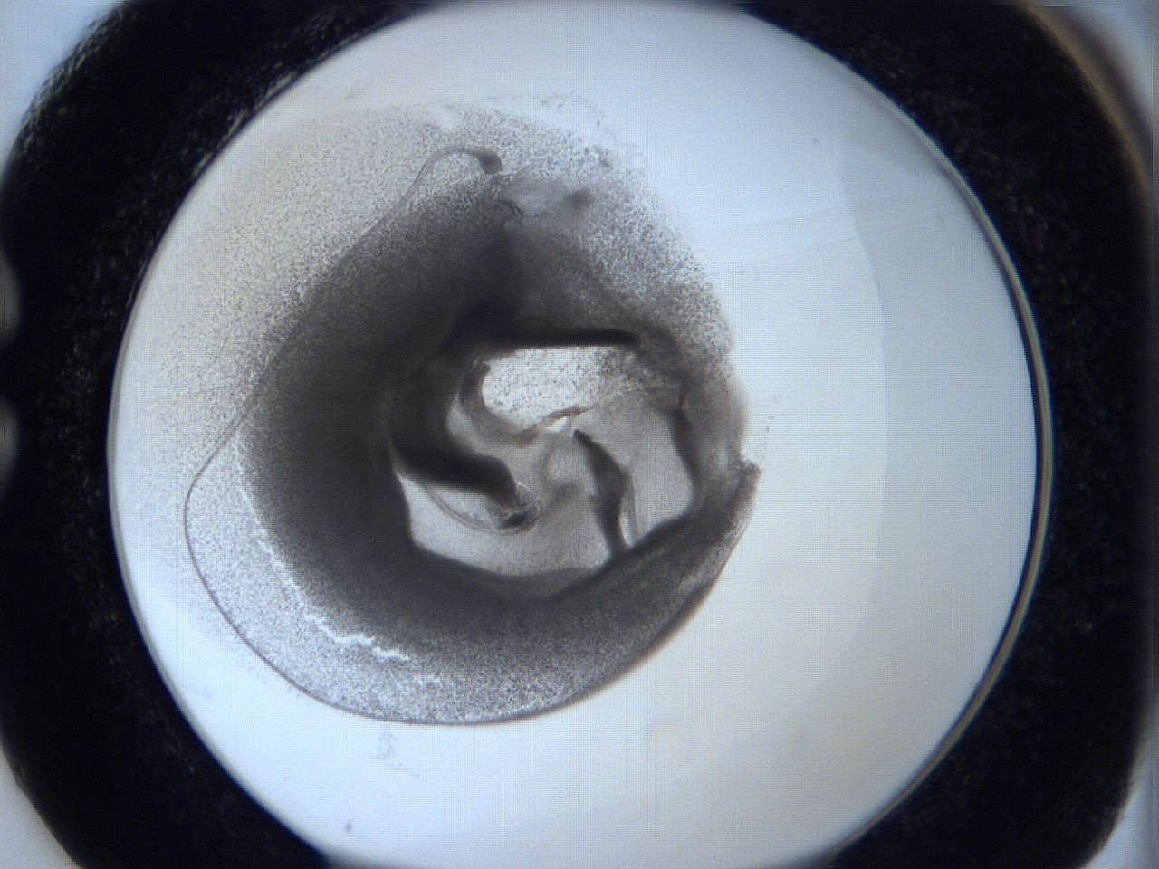 0623_C1_ImagerDefaults_3.jpg