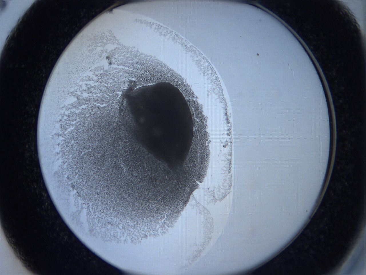 0623_C2_ImagerDefaults_4.jpg