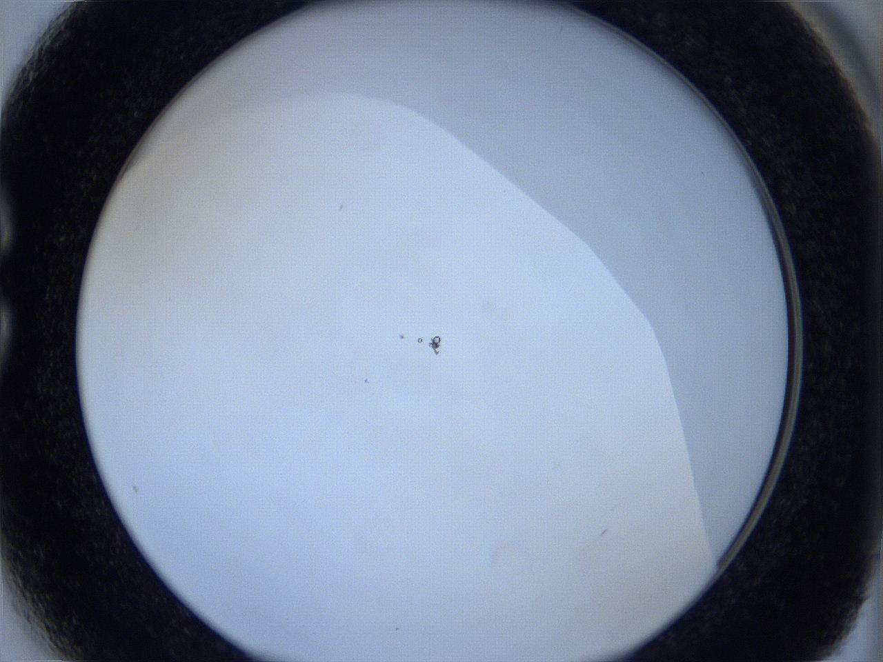 0623_C3_ImagerDefaults_1.jpg
