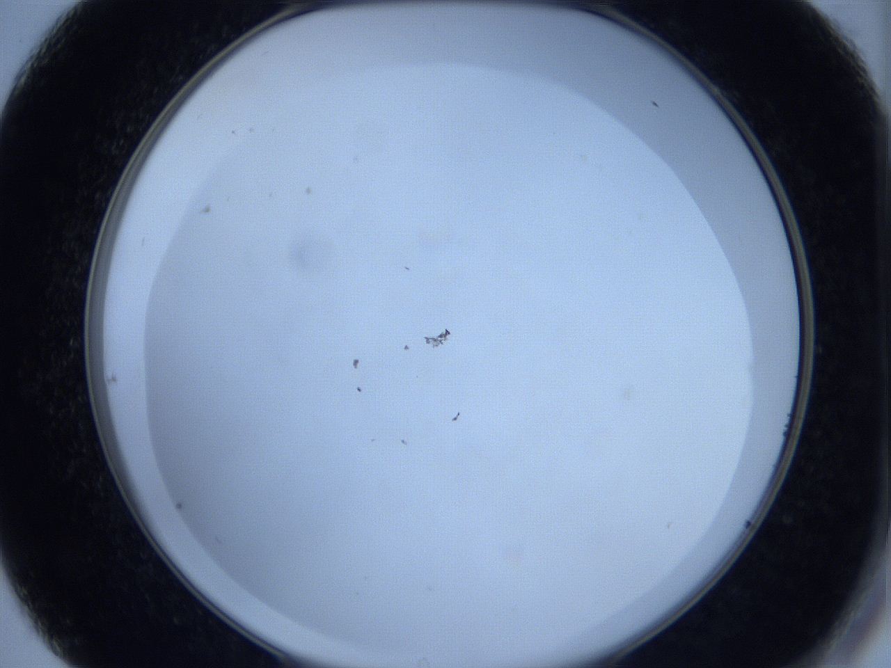 0623_C7_ImagerDefaults_2.jpg