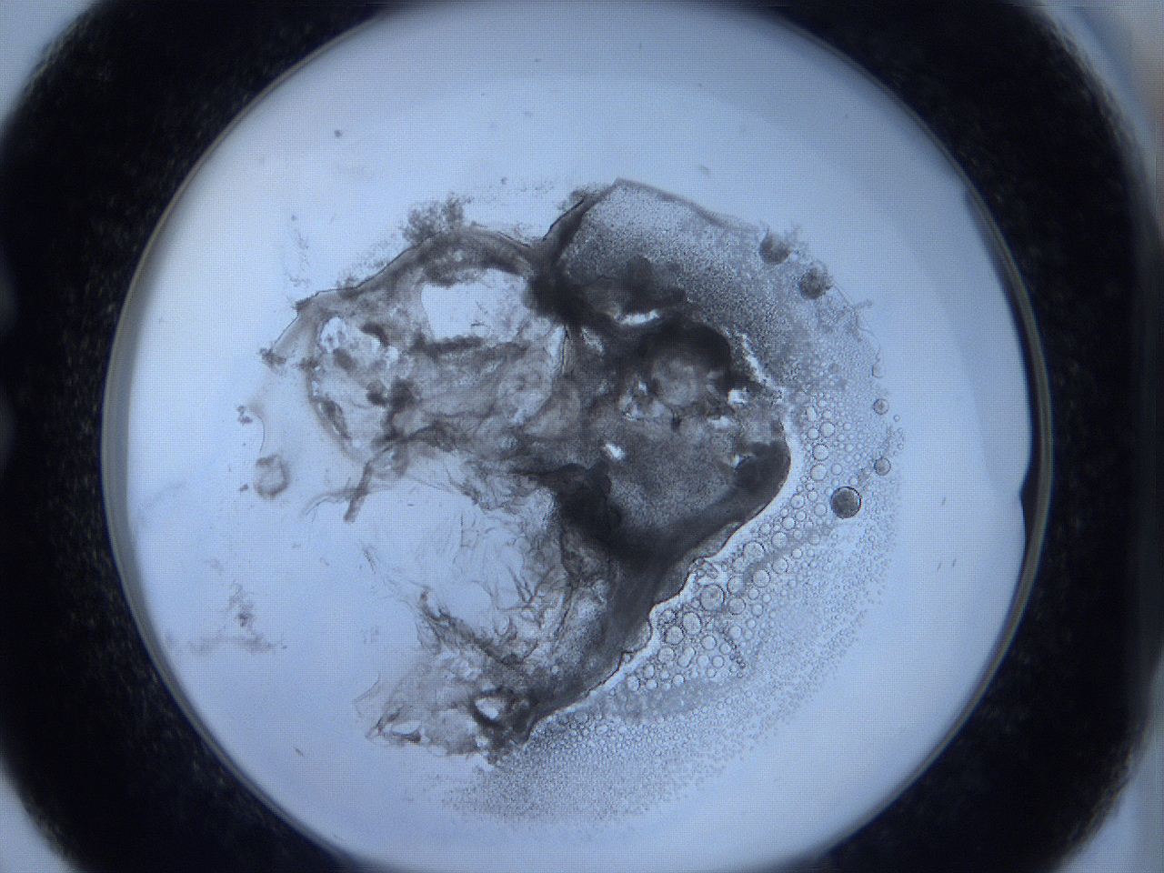0623_C9_ImagerDefaults_5.jpg