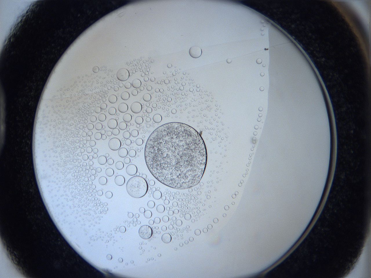 0623_D1_ImagerDefaults_5.jpg