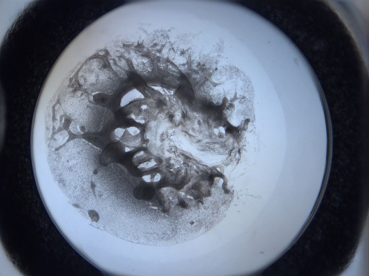 0623_D3_ImagerDefaults_3.jpg