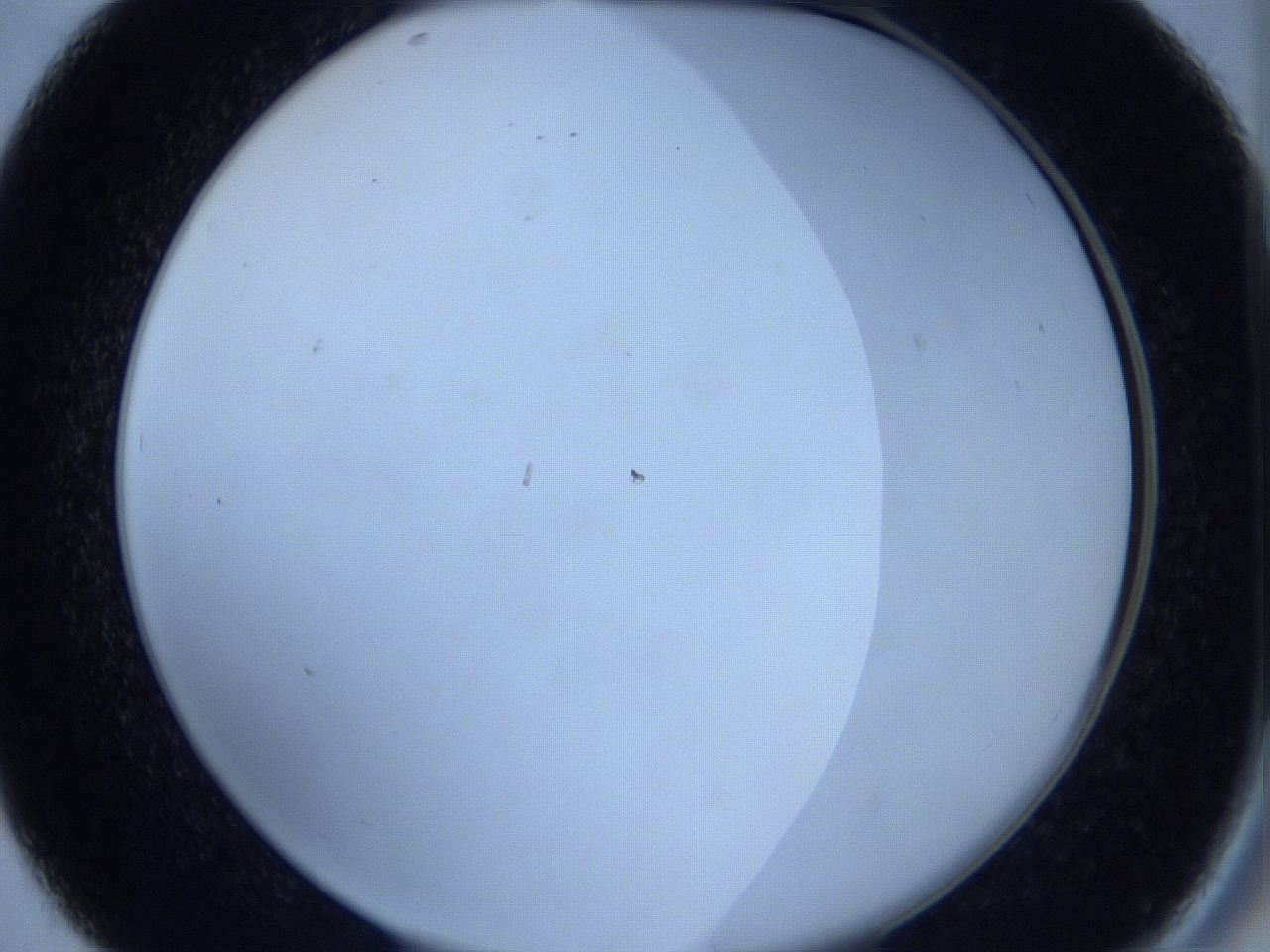 0623_D7_ImagerDefaults_0.jpg