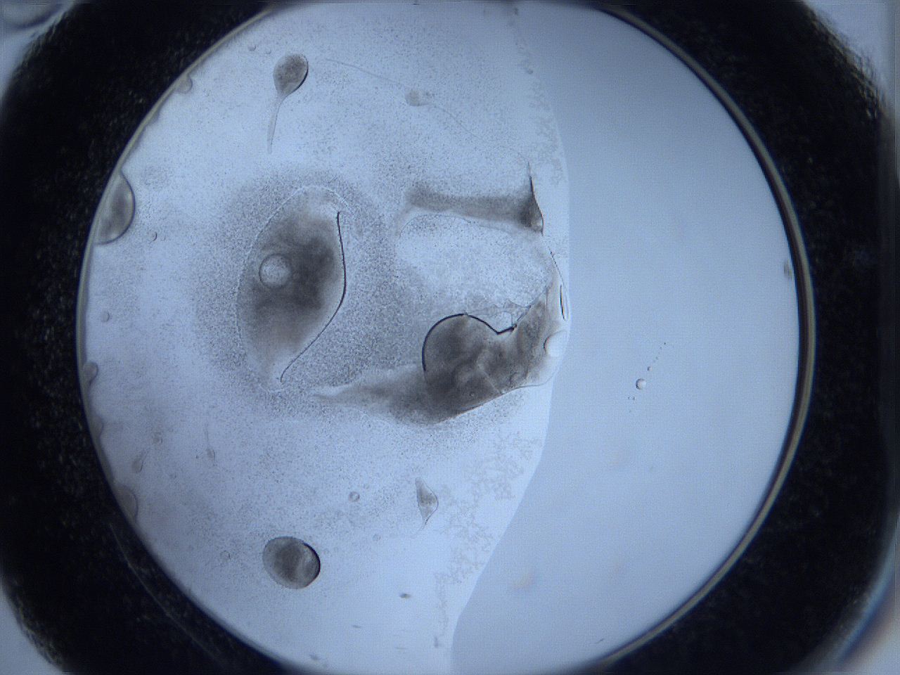 0623_D10_ImagerDefaults_2.jpg
