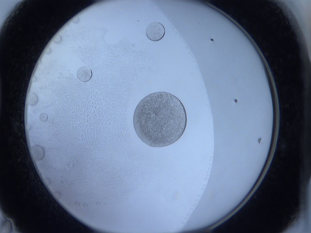 0623_D11_ImagerDefaults_5.jpg