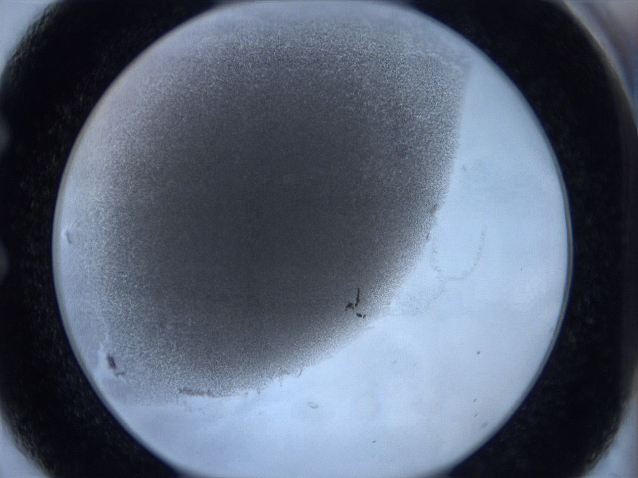 0623_E6_ImagerDefaults_3.jpg