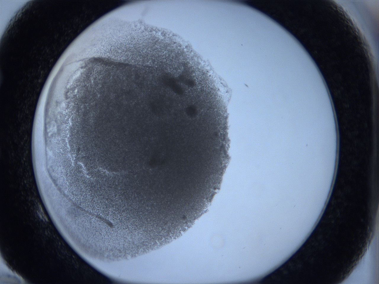 0623_E10_ImagerDefaults_3.jpg