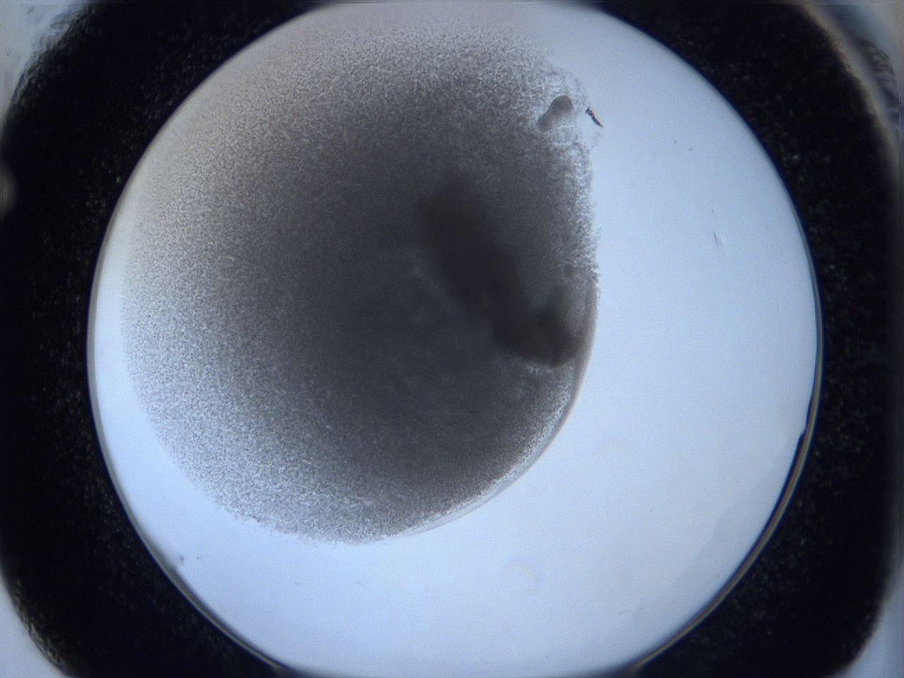0623_F1_ImagerDefaults_3.jpg