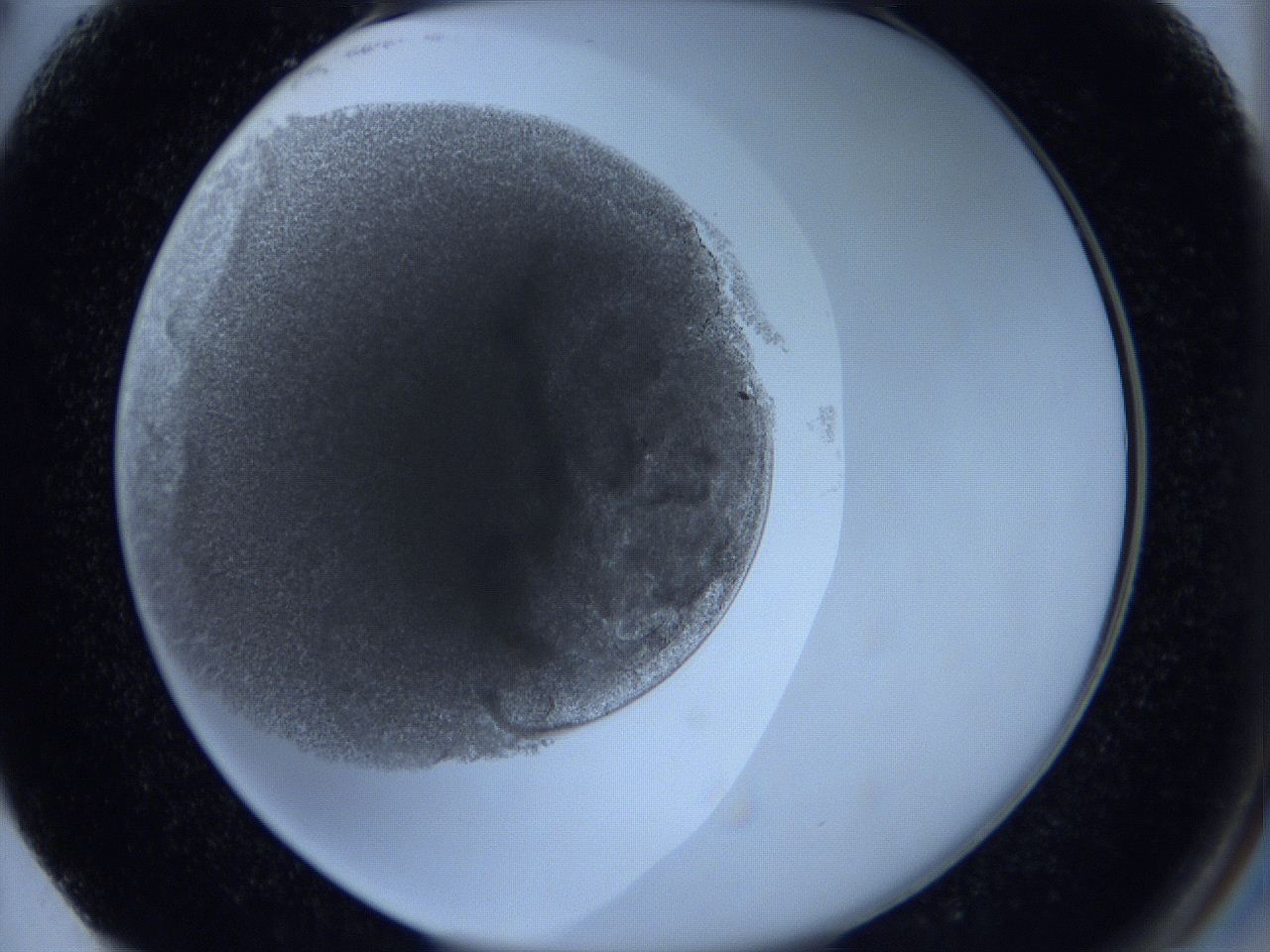 0623_F2_ImagerDefaults_3.jpg