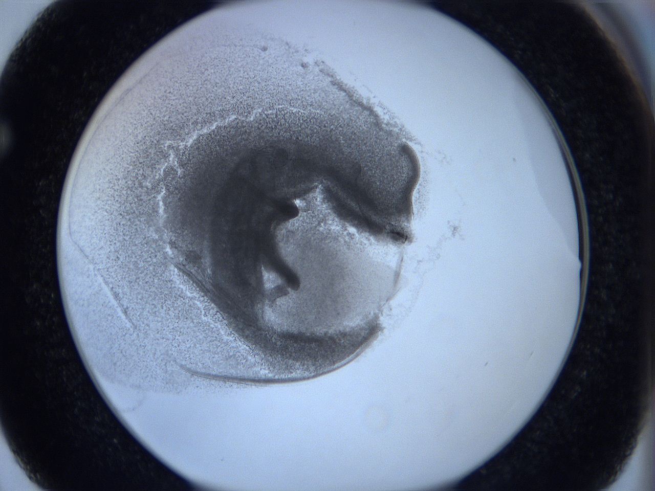 0623_F3_ImagerDefaults_3.jpg