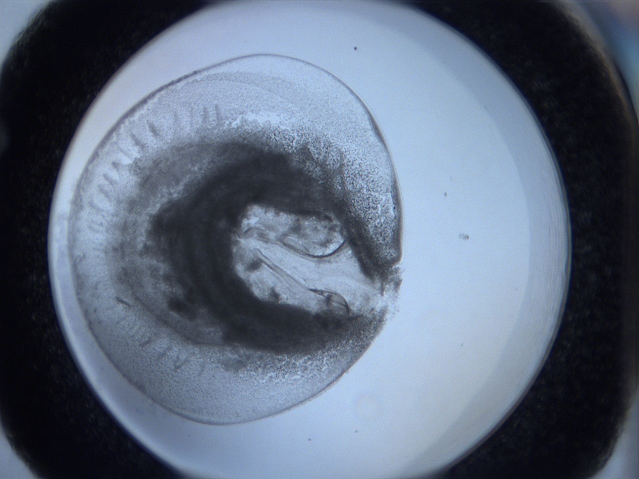 0623_F5_ImagerDefaults_3.jpg