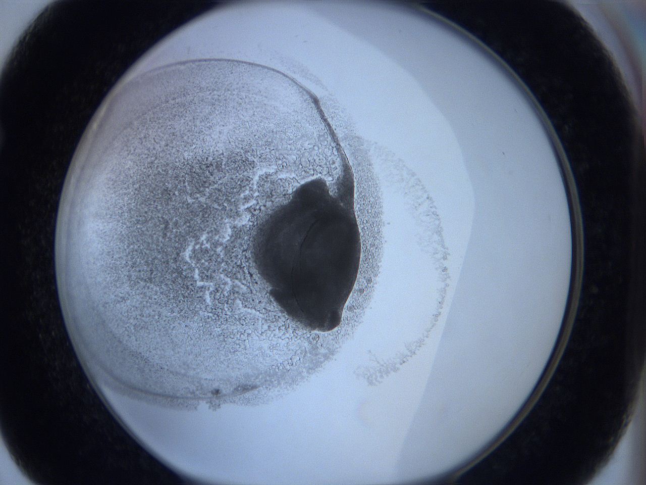 0623_F7_ImagerDefaults_3.jpg