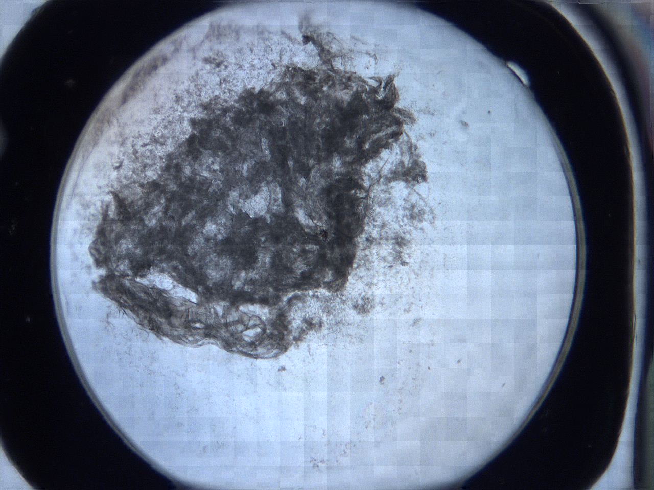 0623_F9_ImagerDefaults_3.jpg