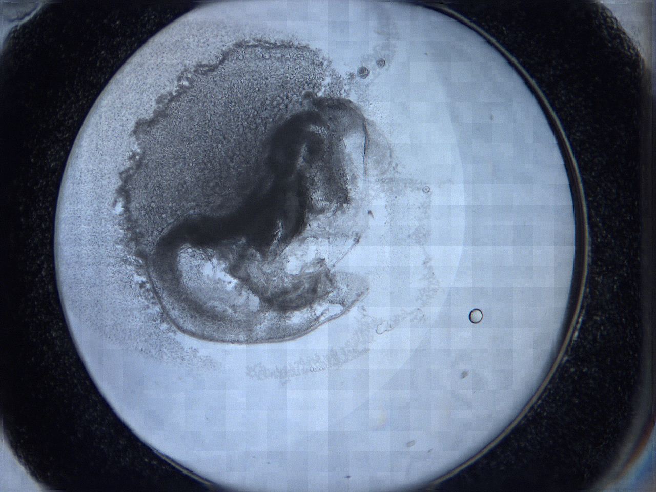 0623_F10_ImagerDefaults_3.jpg
