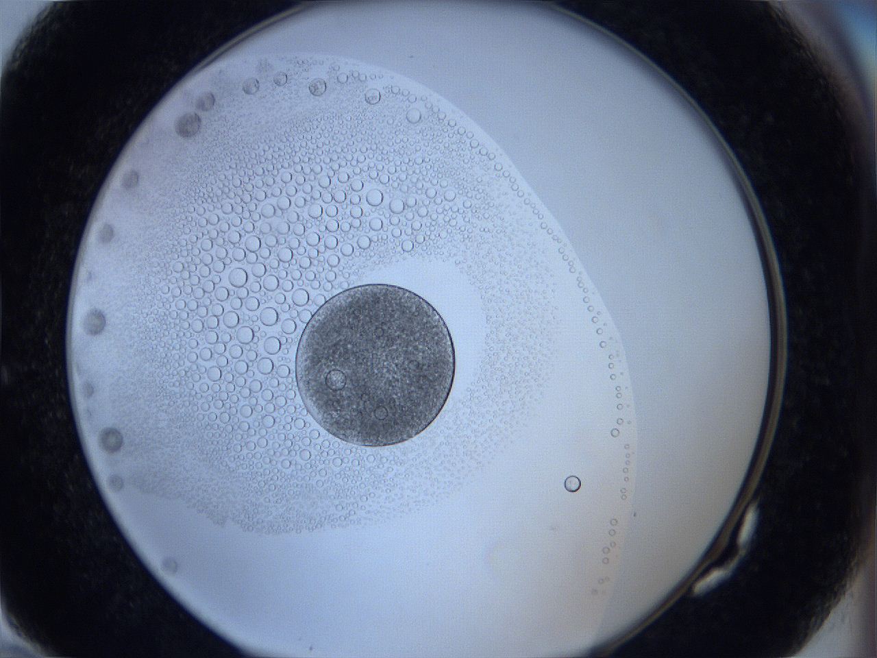 0623_G10_ImagerDefaults_5.jpg