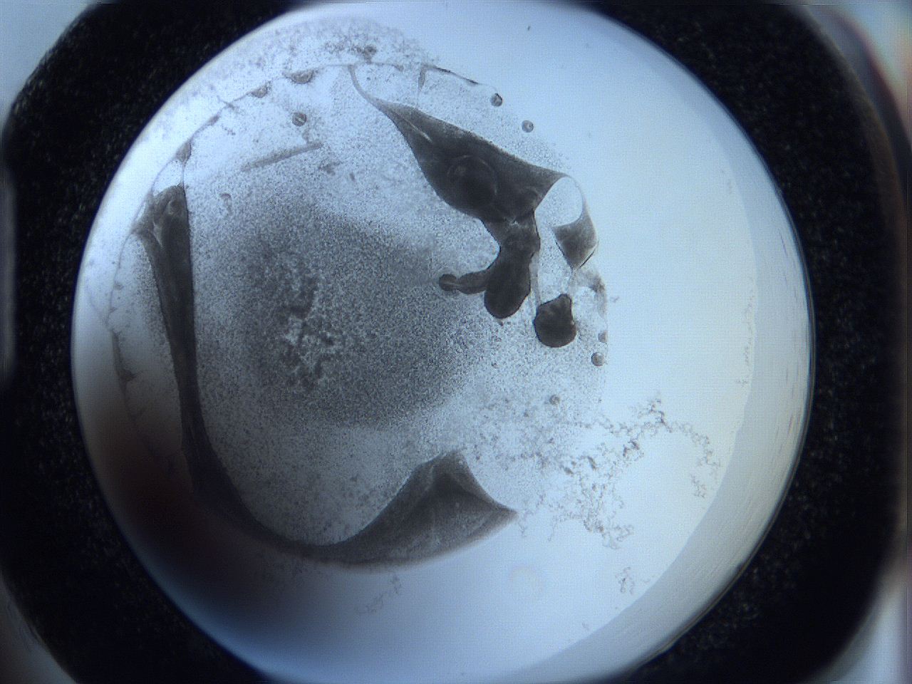 0623_H1_ImagerDefaults_3.jpg